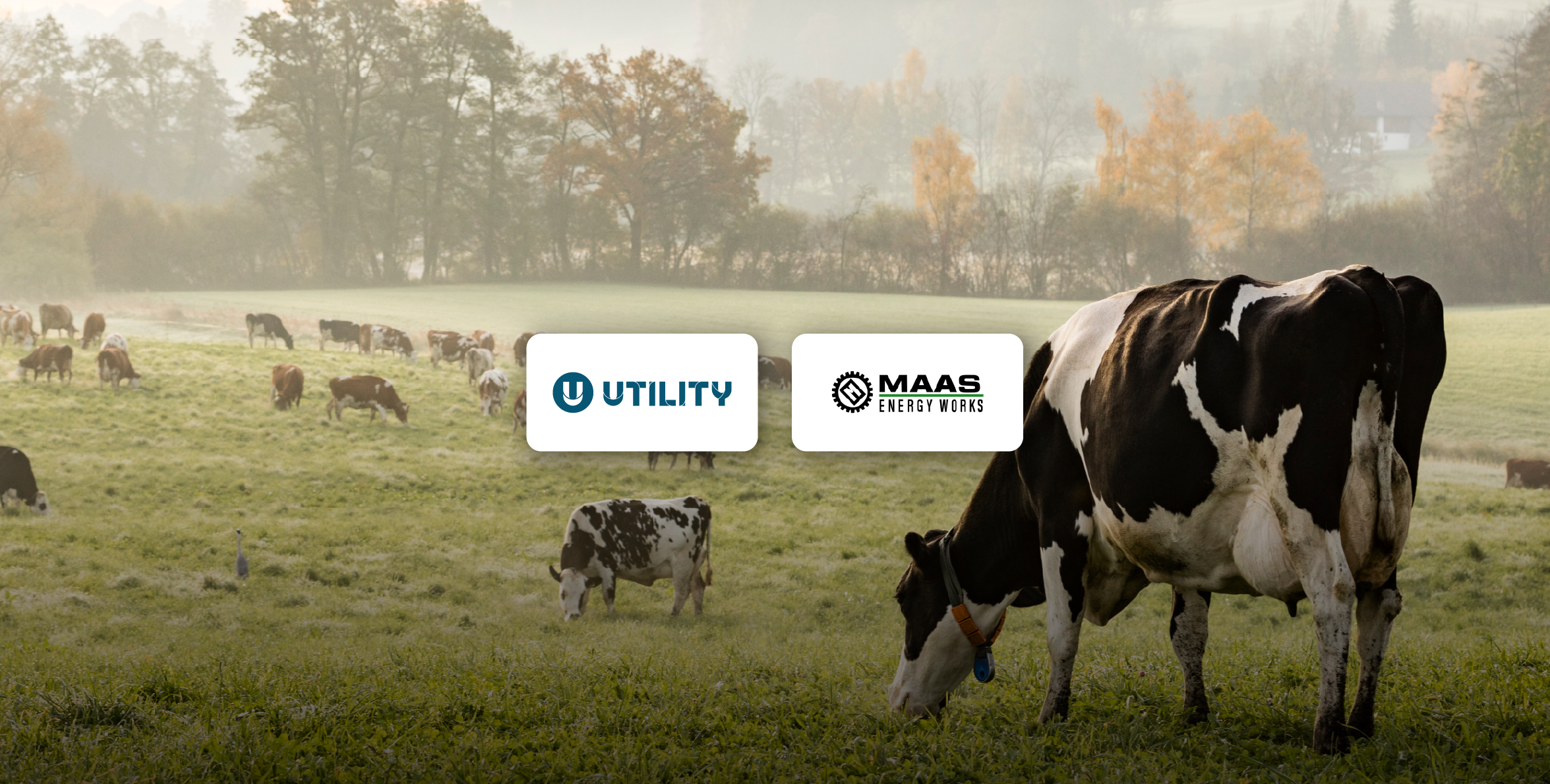 Big News: Utility and Maas Energy Works Agreement to Develop Dairy Digester-to-Hydrogen Mobility Project in California Featured in Two Industry-Leading Publications